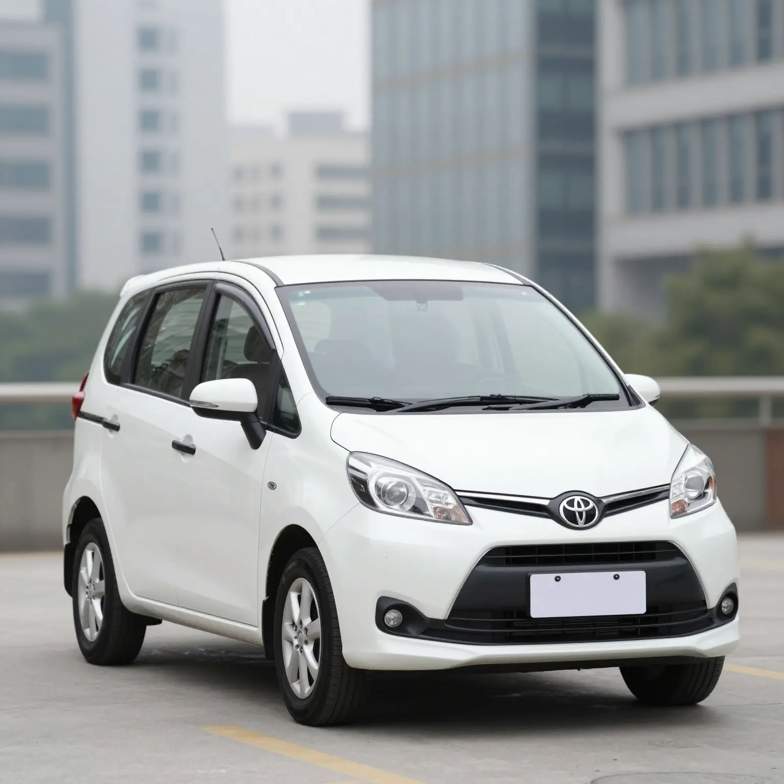 Toyota Echo in Business Setting